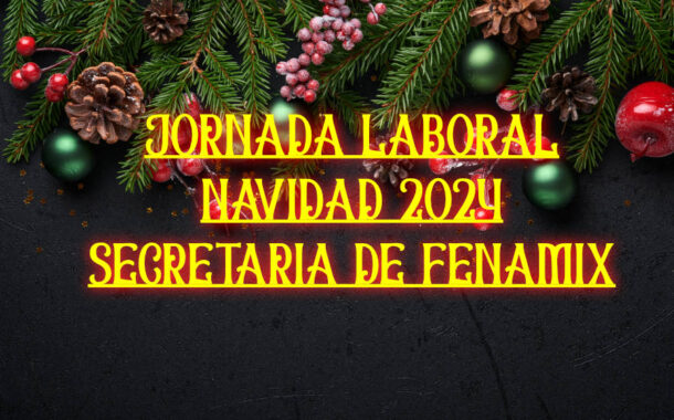 JORNADA LABORAL NAVIDAD 2024 SECRETARIA DE FENAMIX